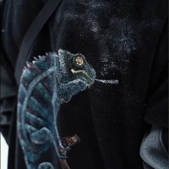 CAMELEON - Picture 3 of 3